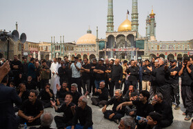 عزاداری اربعین حسینی در حرم حضرت فاطمه معصومه(س)