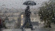 رگبار باران در شمال کشور/  وزش باد شدید  و گردوخاک در مرکز و شرق