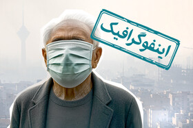 اینفوگرافیک/ آلودگی هوا در سال ۱۴۰۳ به چند نفر آسیب رساند؟
