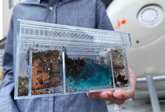 روسیه موش و مگس به فضا میفرستد!