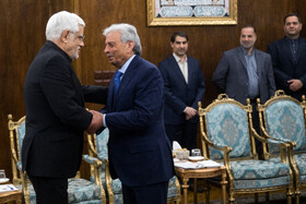 رانا تنویر حسین وزیر امنیت غذایی و تحقیقات ملی پاکستان در دیدار با محمدرضا عارف، معاون اول رئيس جمهور