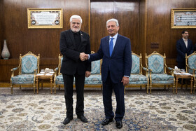 رانا تنویر حسین وزیر امنیت غذایی و تحقیقات ملی پاکستان در دیدار با محمدرضا عارف، معاون اول رئيس جمهور