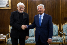 رانا تنویر حسین وزیر امنیت غذایی و تحقیقات ملی پاکستان در دیدار با محمدرضا عارف، معاون اول رئيس جمهور