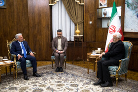 رانا تنویر حسین وزیر امنیت غذایی و تحقیقات ملی پاکستان در دیدار با محمدرضا عارف، معاون اول رئيس جمهور