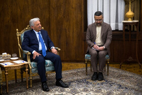 رانا تنویر حسین وزیر امنیت غذایی و تحقیقات ملی پاکستان در دیدار با محمدرضا عارف، معاون اول رئيس جمهور