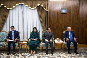 دیدار وزیر امنیت غذایی و تحقیقات ملی پاکستان با معاون اول رئيس جمهور