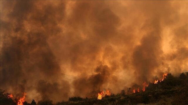 آتشسوزی جنگلی در شمال مراکش در پی افزایش شدید دما آتشسوزی جنگلی در شمال مراکش در پی افزایش شدید دما