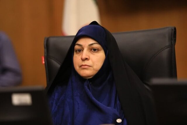 تبدیل «هر روستا به یک کارخانه»؛ از برنامه‌های توسعه‌ای استان کرمان