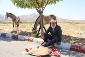 اعزام ششمین کاروان سوارکاری «حرم تا حرم» خراسان شمالی به مشهد مقدس