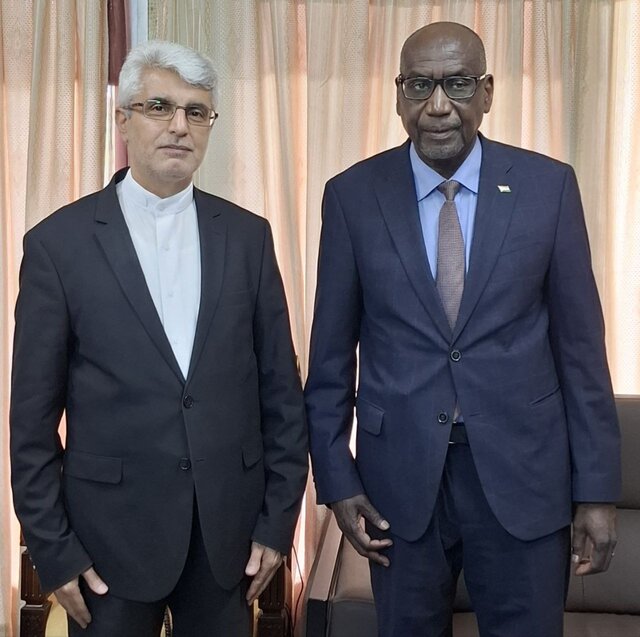 رایزنی سفیر ایران با قائم مقام وزیر امور خارجه نیجر رایزنی سفیر ایران با قائممقام وزیر امور خارجه نیجر