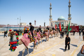 عزاداری 28 صفر در حرم حضرت فاطمه معصومه(س)