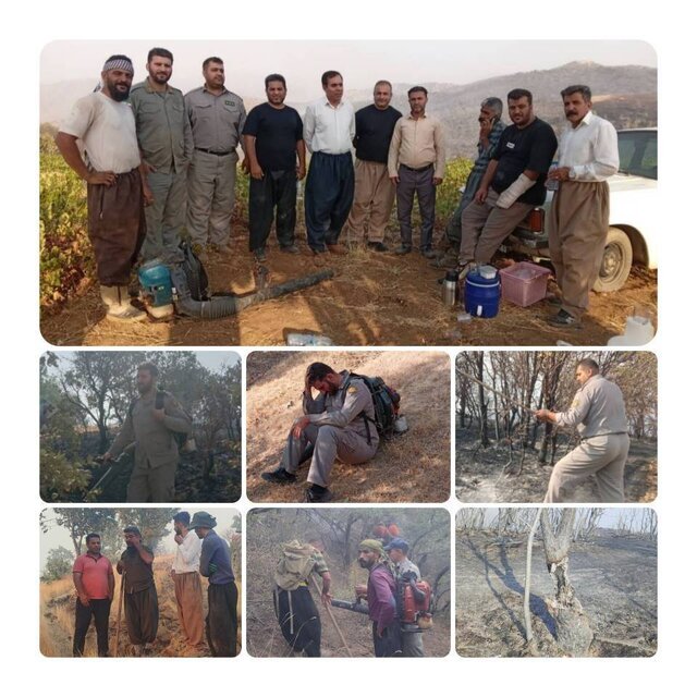 مهار آتشسوزی جنگلهای لنجآباد/خسارت به چندین هکتار از طبیعت مهار آتشسوزی جنگلهای لنجآباد/خسارت به چندین هکتار از طبیعت