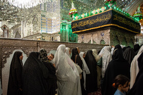 لاله گردانی در شاهچراغ در سوگ امام رضا (ع)