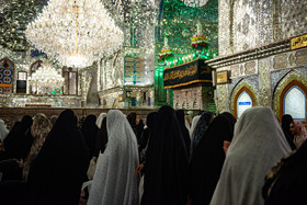 لاله گردانی در شاهچراغ در سوگ امام رضا (ع)