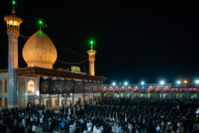 لاله گردانی در شاهچراغ در سوگ امام رضا (ع)