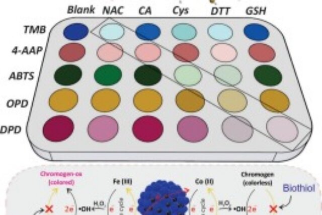 حسگر نانویی روی گوشی برای تشخیص سریع بیوتیولها در خون و پلاسما
