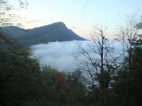 مه‌بارش، منبع پنهان آب در جنگل‌های شمالی/جذب ۱۲۰ میلیون متر مکعب آب