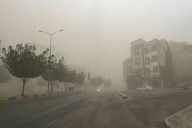 مدیرکل مدیریت بحران استاندار: طوفان در بوشهر تلفات جانی نداشت