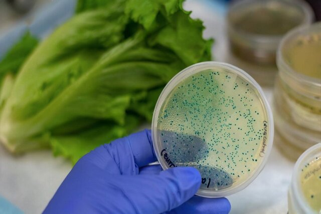 تشخیص آلودگی آب و غذا در کمتر از ۴ ساعت تشخیص آلودگی آب و غذا در کمتر از ۴ ساعت