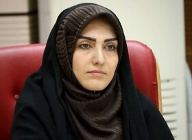 تهیه و آغاز اجرای طرح جامع حمایت از خانواده در قزوین