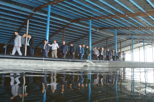 افتتاح اولین واحد پرورش ماهی خاویاری در ملایر