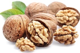 تقویت توان آنتی‌اکسیدانی بدن با «روغن گردو + تمرینات مقاومتی»