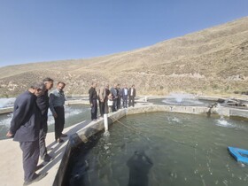 افتتاح ۲ مزرعه پرورش ماهیان سردآبی در مشگین‌شهر