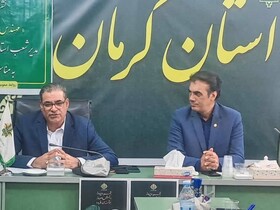 تسهیلات میلیاردی، بیمه محصولات و چالش انرژی خورشیدی در دیار پسته و خرما