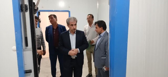 مجتمع بستهبندی گوشت دام و طیور ایلام افتتاح شد مجتمع بستهبندی گوشت دام و طیور ایلام افتتاح شد