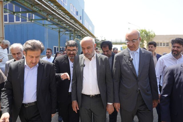 تاکید وزیر کار بر فعال‌سازی کارخانه اسیدسیتریک کرمانشاه