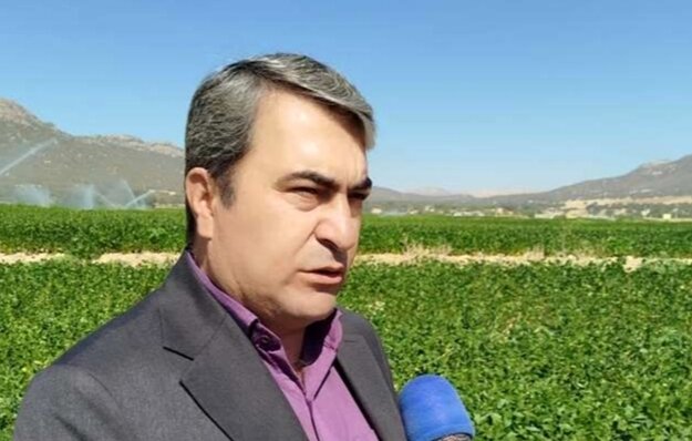 اجرای کنترل بیولوژیک در ۲۰۰۰ هکتار از مزارع کهگیلویه و بویراحمد