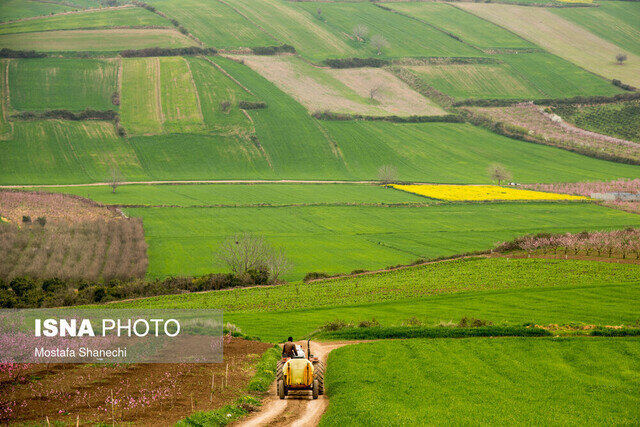 شناسایی ۱۱۵۲ فقره تغییر کاربری غیرمجاز اراضی در قم