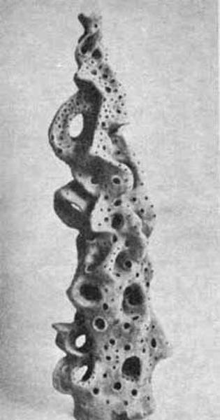 چنگیز شهوق؛ مرد جسور مجسمهها!