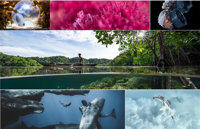 درخشانترین تصاویر علمی ماه از نگاه مجله نیچر