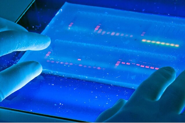 سیستم‌های ایرانی، مسیر تحلیل DNA و RNA را در آزمایشگاه‌های زیست‌شناسی هموار کردند
