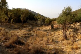 خشک شدن سد شاه قاسم یاسوج