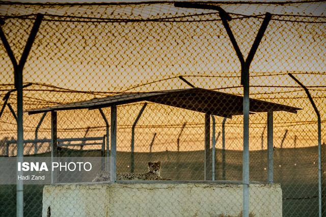 عکس ماه - شهریور ۱۴۰۴