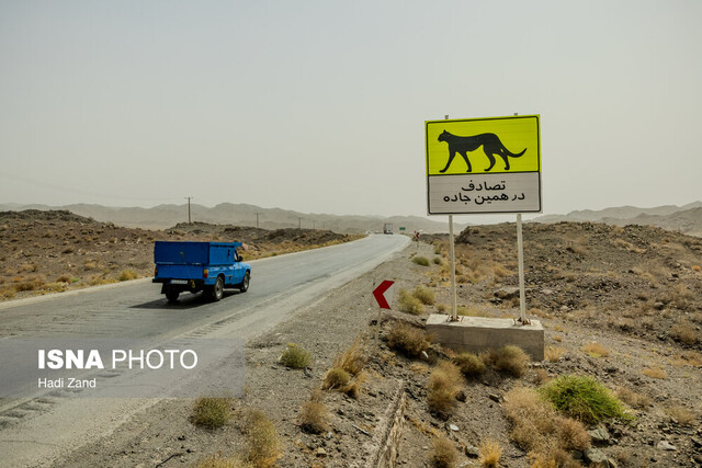 گزارش فنی کاهش تلفات جاده‌ای یوز روی میز وزارت راه