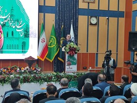 راه نجات عناب در فرآوری و بازاریابی است