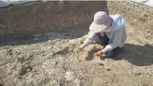 چغاگلان مهران، کهنترین خاستگاه کشاورزی خاورمیانه