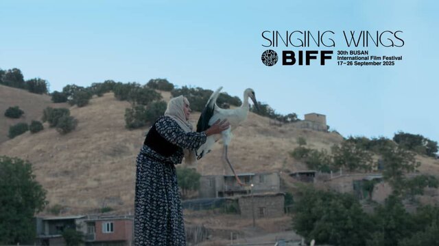 «بالهای آوازخوان» به جشنواره بوسان دعوت شد «بالهای آوازخوان» به جشنواره بوسان دعوت شد