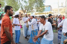 جشنواره شکرگزاری انبه و یاسمین در میناب