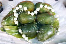 جشنواره شکرگزاری انبه و یاسمین در میناب