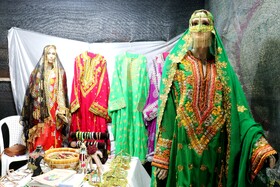 جشنواره شکرگزاری انبه و یاسمین در میناب