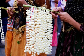 جشنواره شکرگزاری انبه و یاسمین در میناب