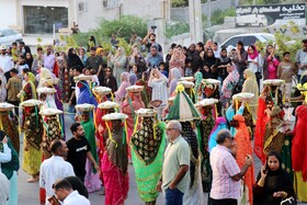 جشنواره شکرگزاری انبه و یاسمین در میناب