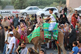 جشنواره شکرگزاری انبه و یاسمین در میناب