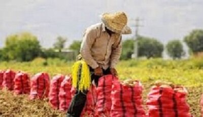 کشاورزی باید به سمت انرژی خورشیدی برود کشاورزی باید به سمت انرژی خورشیدی برود