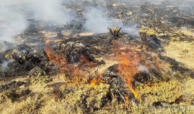مهار آتشسوزی پس از ۳ ساعت تلاش بیوقفه در آقداغ /۲۰ هکتار طعمه حریق شد مهار آتشسوزی پس از ۳ ساعت تلاش بیوقفه در آقداغ /۲۰ هکتار طعمه حریق شد