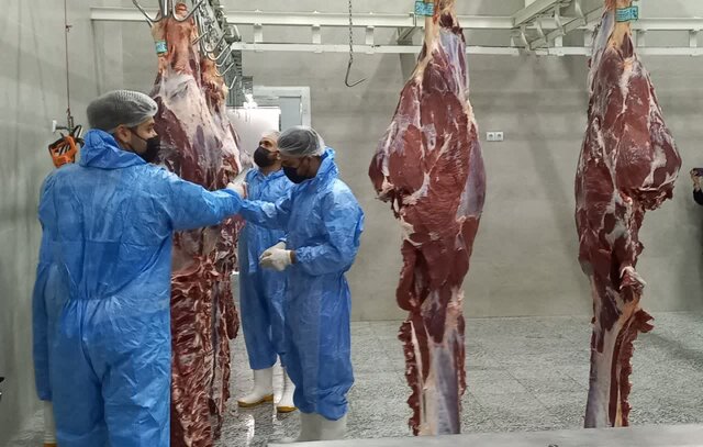 چالشهای پیش روی صنعت دامپروری